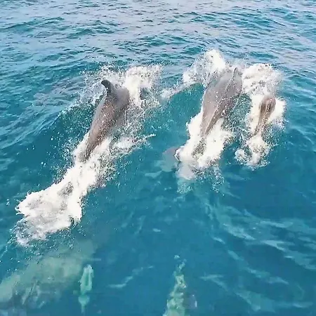 Agadir By Algarve Vacation *