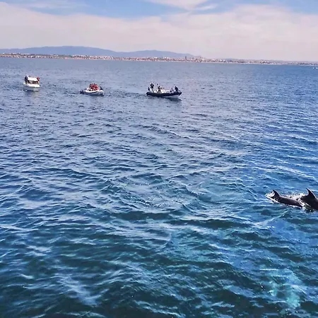 빌라 Agadir By Algarve Vacation